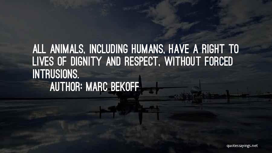 Animal And Humans Quotes By Marc Bekoff