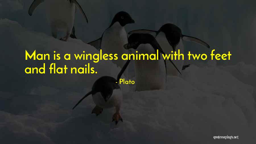 Animal And Man Quotes By Plato Animal And Man Quotes By Plato