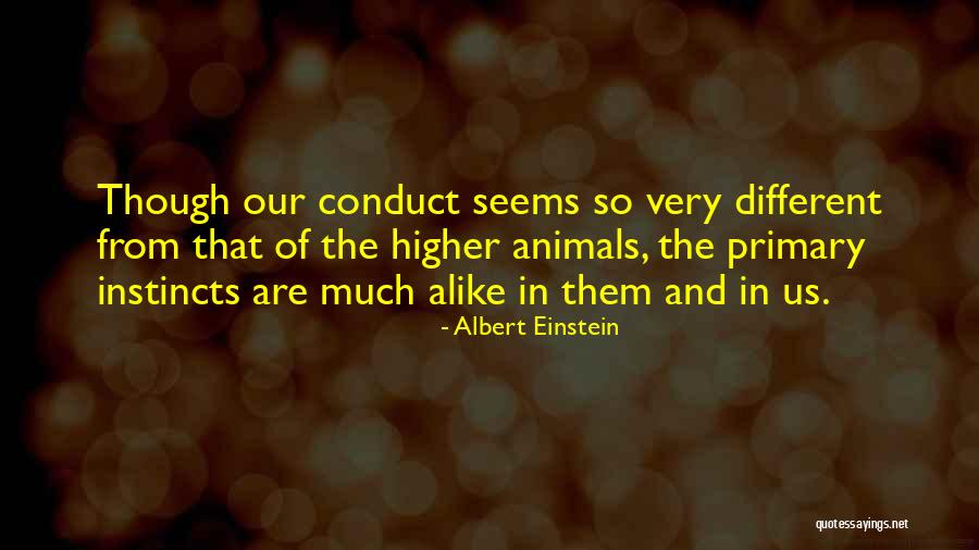 Animal Behavior Quotes By Albert Einstein