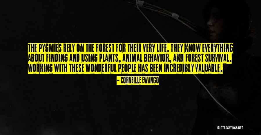 Animal Behavior Quotes By Corneille Ewango