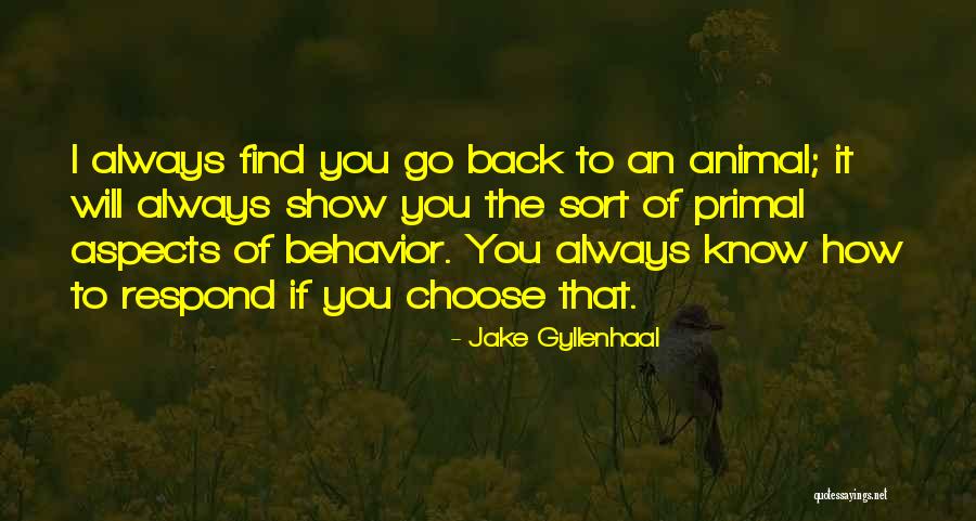 Animal Behavior Quotes By Jake Gyllenhaal