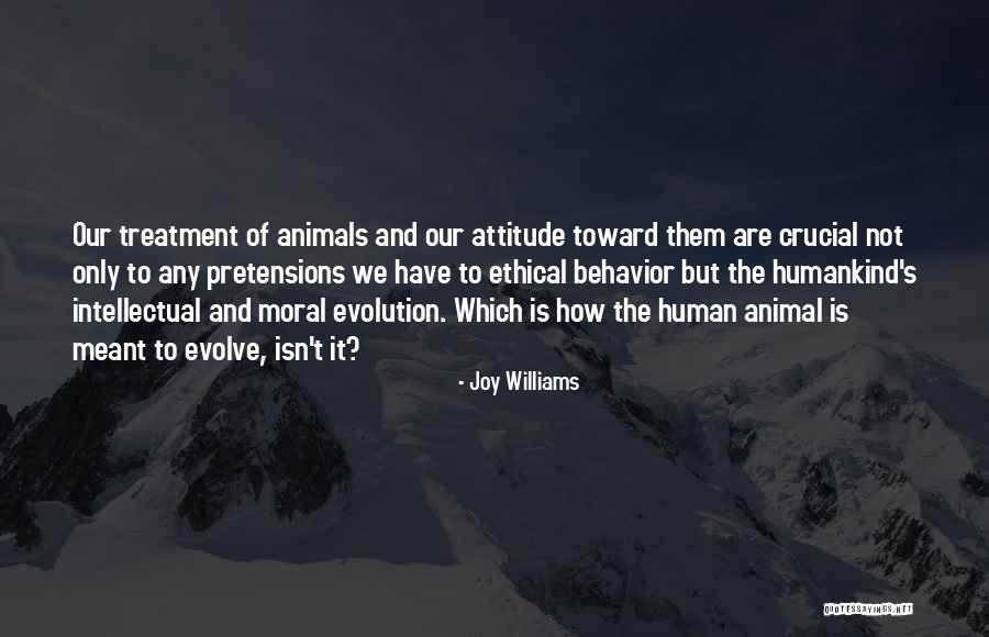 Animal Behavior Quotes By Joy Williams