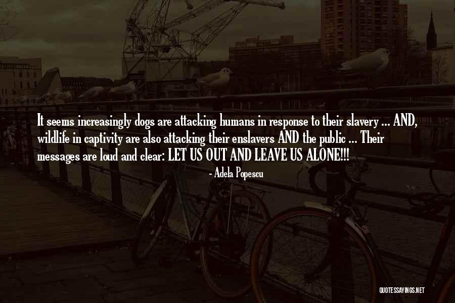 Animal Captivity Quotes By Adela Popescu Animal Captivity Quotes By Adela Popescu