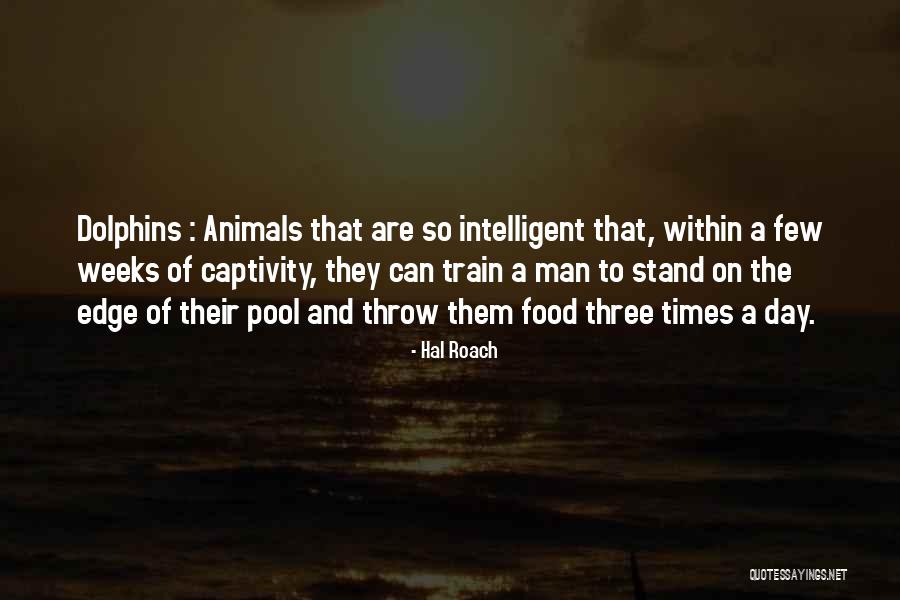 Animal Captivity Quotes By Hal Roach Animal Captivity Quotes By Hal Roach