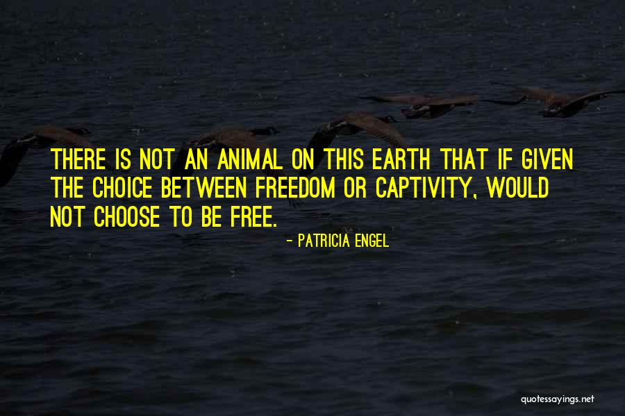 Animal Captivity Quotes By Patricia Engel Animal Captivity Quotes By Patricia Engel