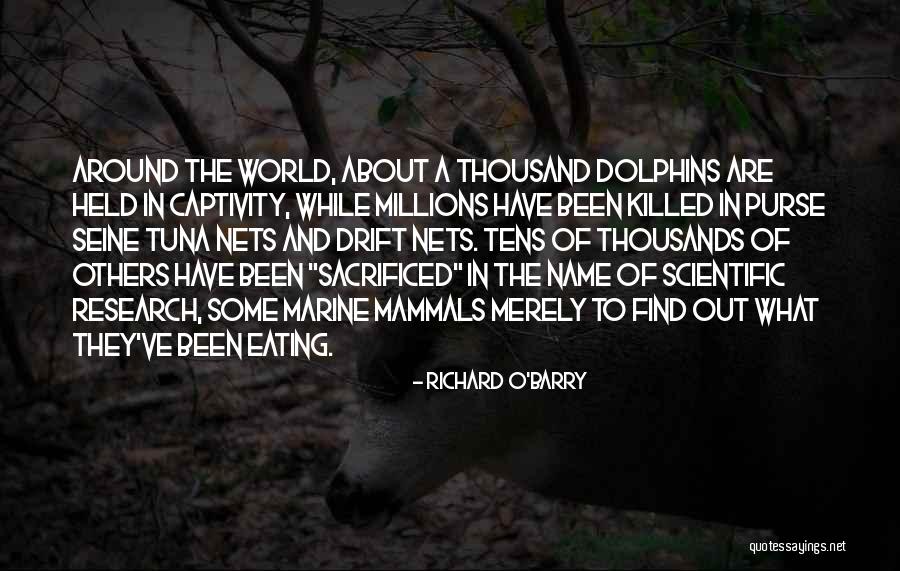 Animal Captivity Quotes By Richard O'Barry Animal Captivity Quotes By Richard O'Barry