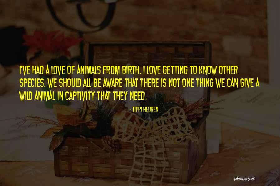 Animal Captivity Quotes By Tippi Hedren Animal Captivity Quotes By Tippi Hedren