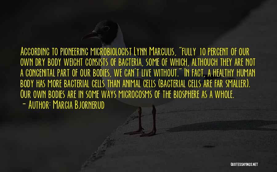 Animal Cells Quotes By Marcia Bjornerud Animal Cells Quotes By Marcia Bjornerud