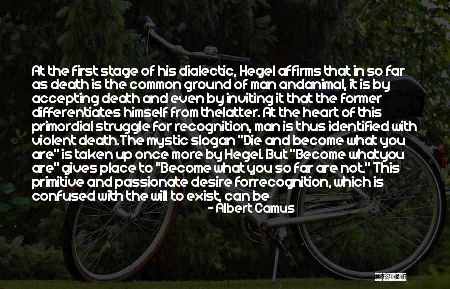 Animal Collective Quotes By Albert Camus