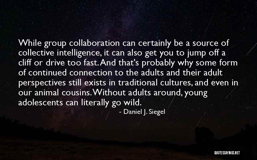 Animal Collective Quotes By Daniel J. Siegel