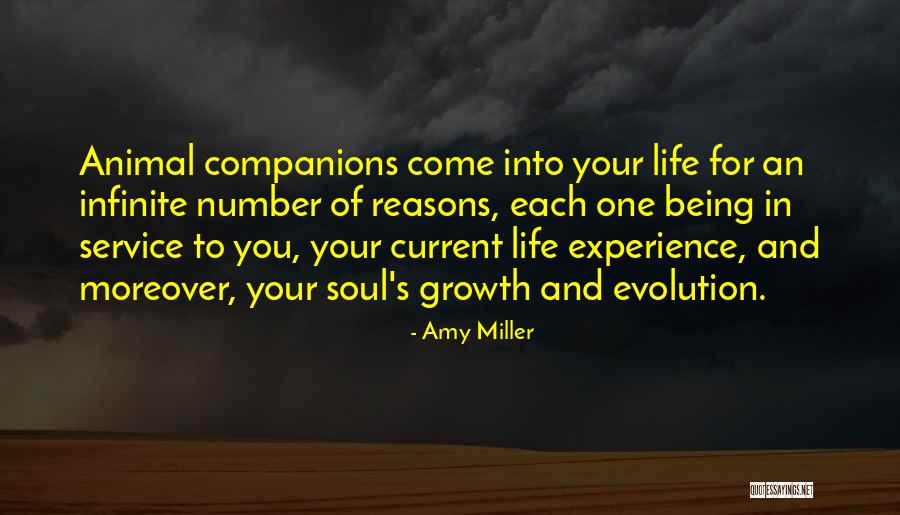 Animal Companions Quotes By Amy Miller