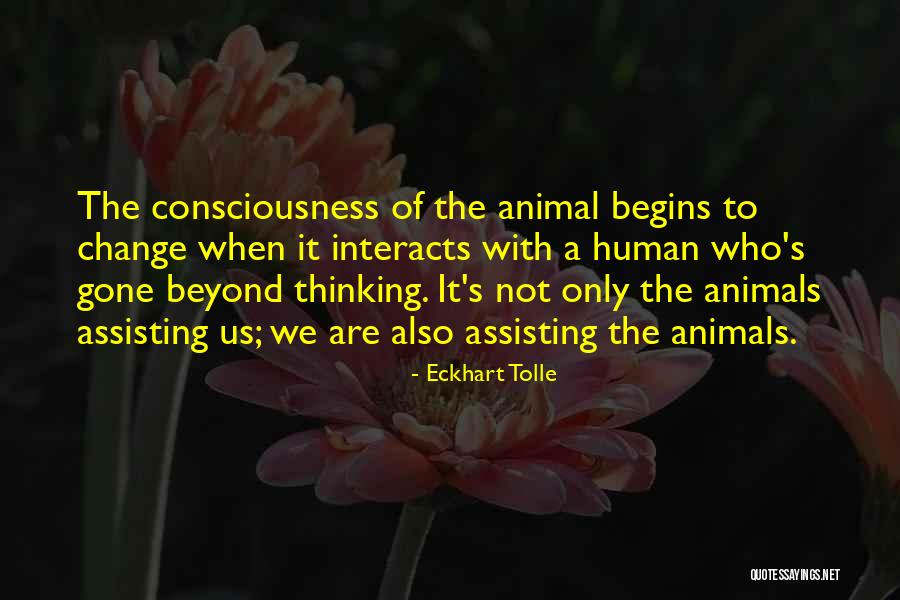 Animal Consciousness Quotes By Eckhart Tolle Animal Consciousness Quotes By Eckhart Tolle