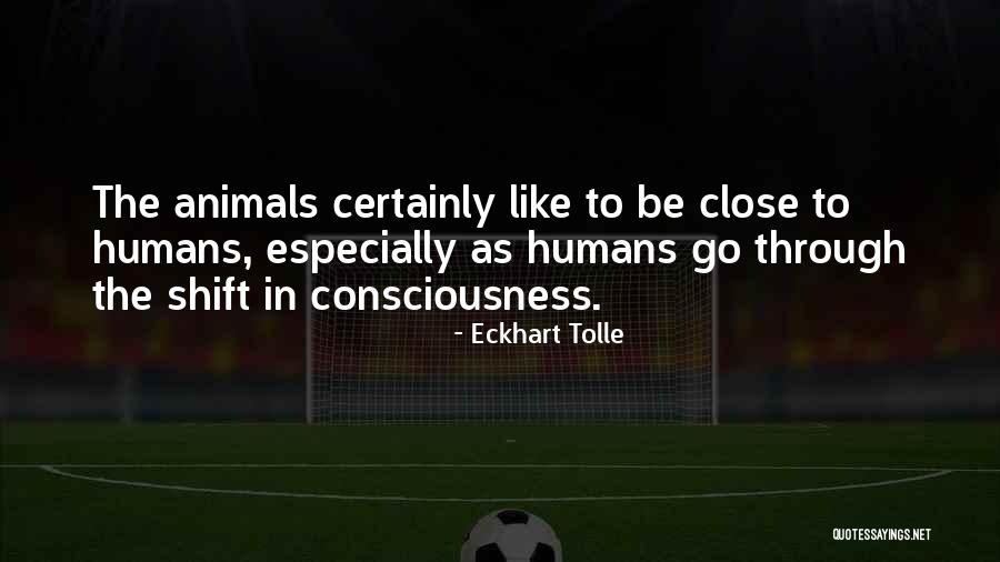 Animal Consciousness Quotes By Eckhart Tolle Animal Consciousness Quotes By Eckhart Tolle