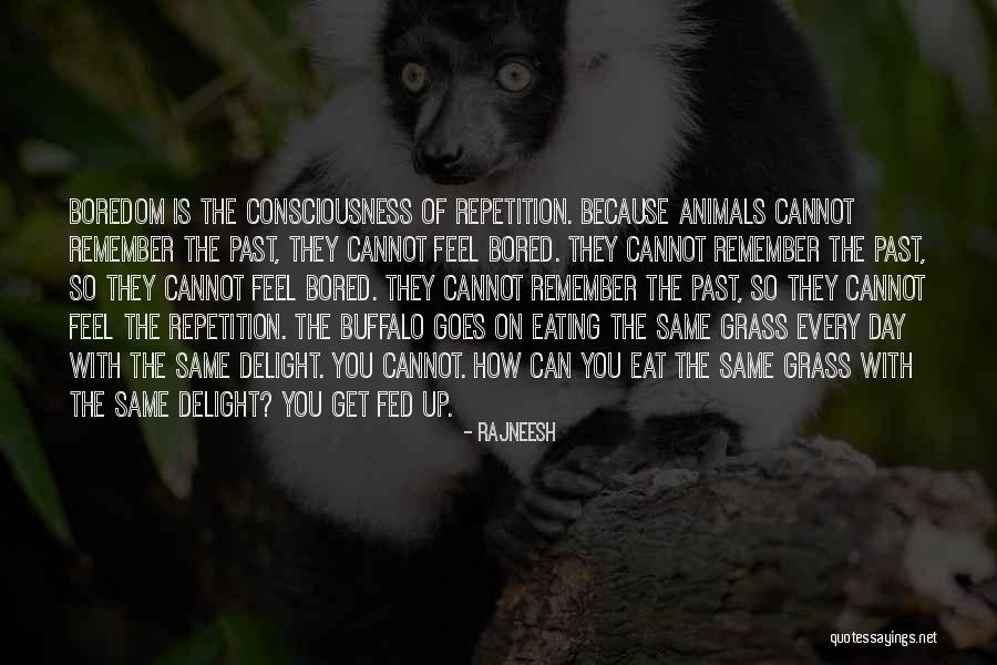 Animal Consciousness Quotes By Rajneesh Animal Consciousness Quotes By Rajneesh