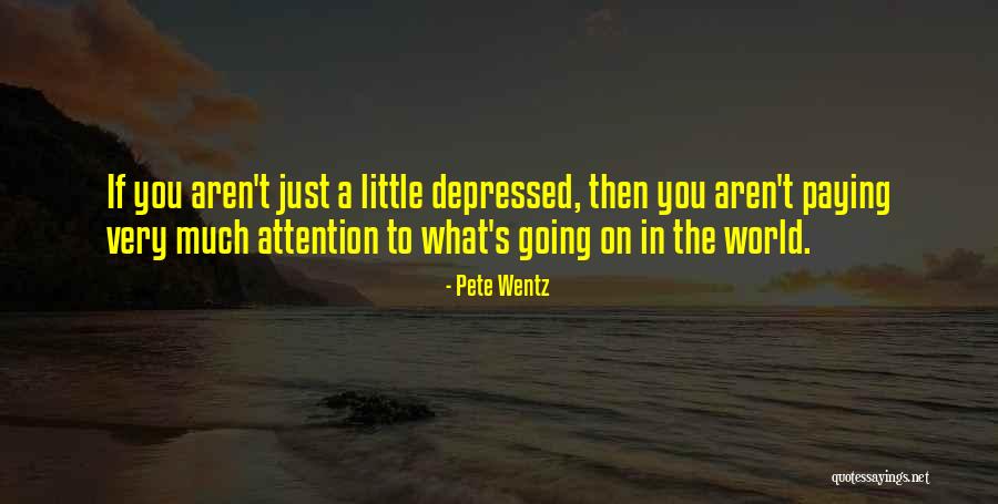Animal Crossing Beau Quotes By Pete Wentz Animal Crossing Beau Quotes By Pete Wentz