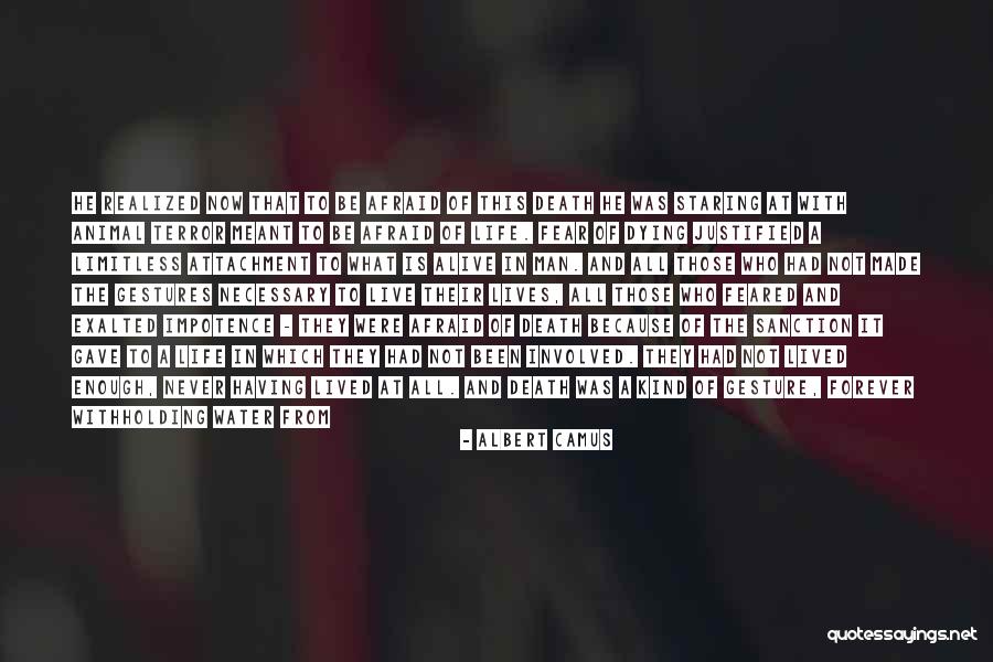 Animal Death Quotes By Albert Camus Animal Death Quotes By Albert Camus