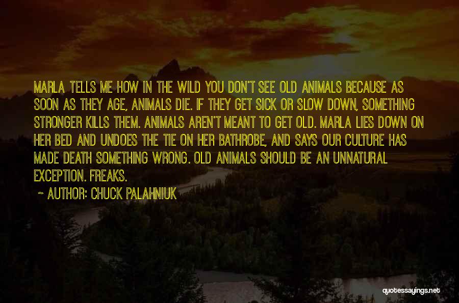 Animal Death Quotes By Chuck Palahniuk