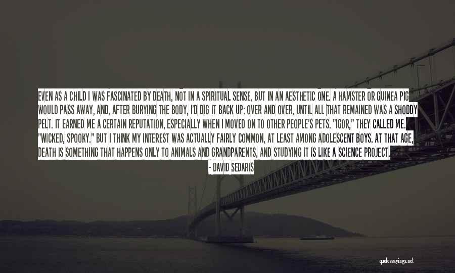 Animal Death Quotes By David Sedaris Animal Death Quotes By David Sedaris