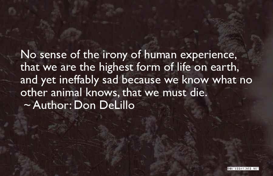 Animal Death Quotes By Don DeLillo