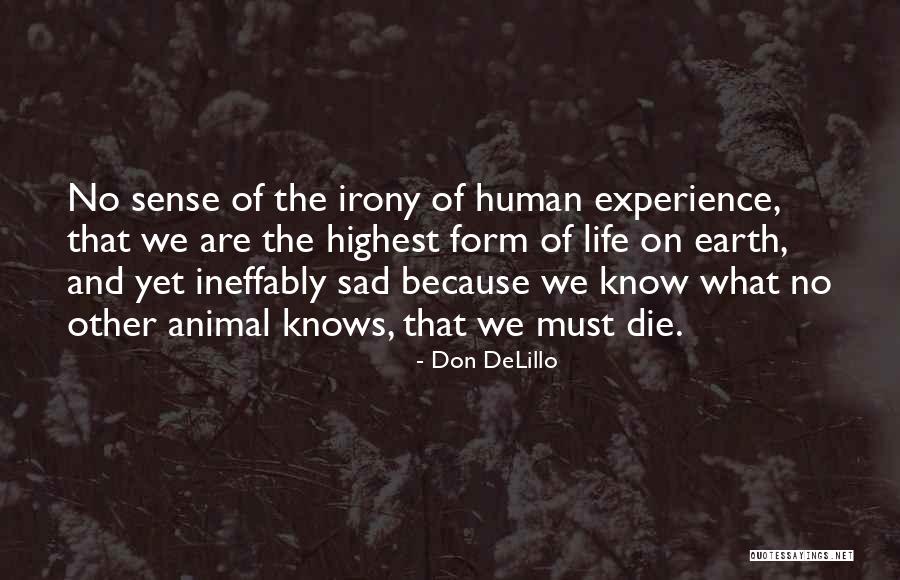 Animal Death Quotes By Don DeLillo