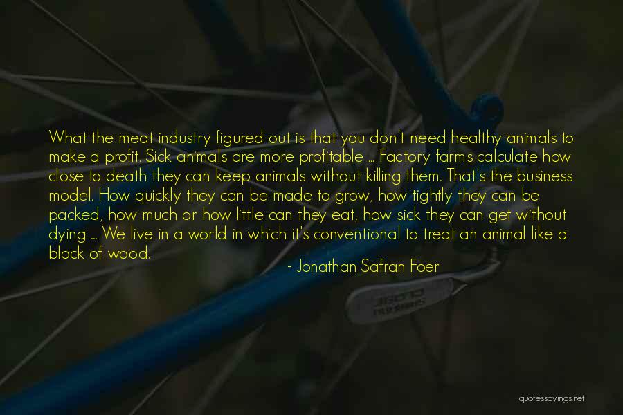 Animal Death Quotes By Jonathan Safran Foer