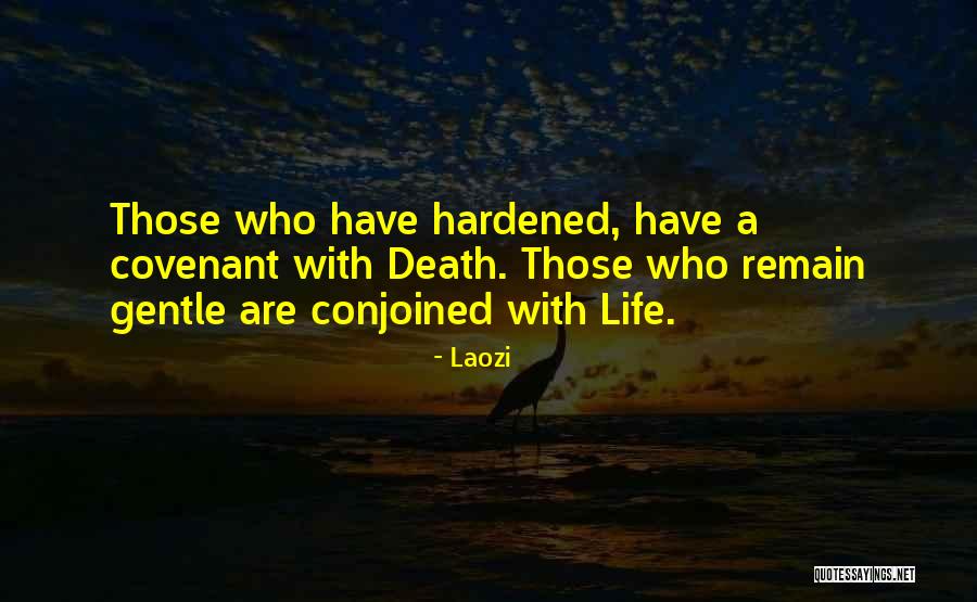 Animal Death Quotes By Laozi Animal Death Quotes By Laozi