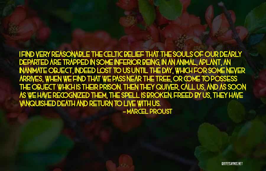 Animal Death Quotes By Marcel Proust Animal Death Quotes By Marcel Proust