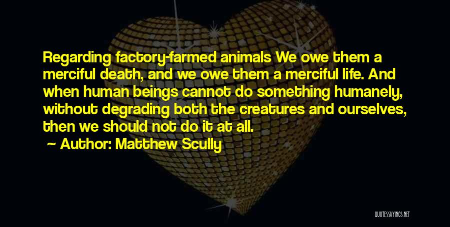 Animal Death Quotes By Matthew Scully