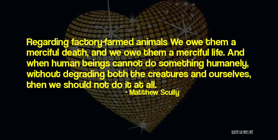 Animal Death Quotes By Matthew Scully Animal Death Quotes By Matthew Scully