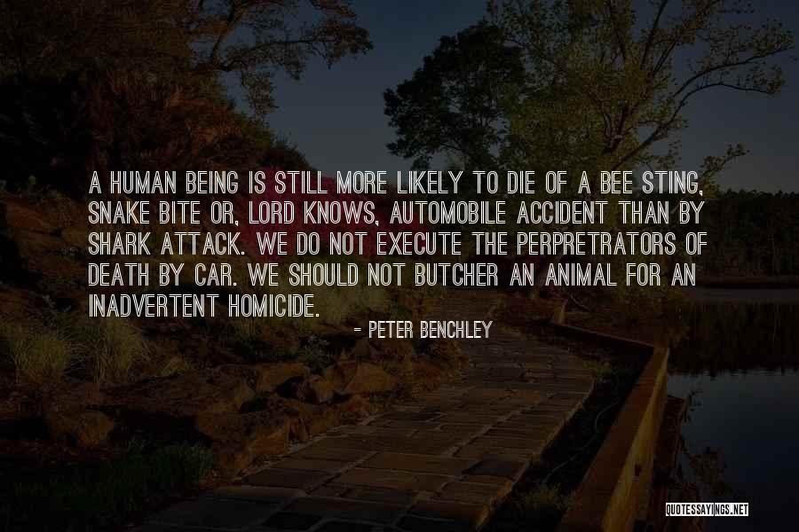 Animal Death Quotes By Peter Benchley