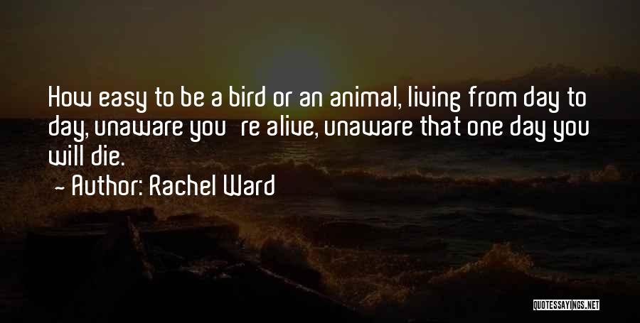 Animal Death Quotes By Rachel Ward