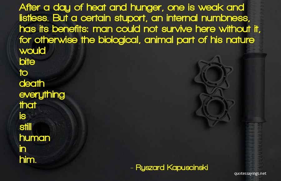 Animal Death Quotes By Ryszard Kapuscinski Animal Death Quotes By Ryszard Kapuscinski