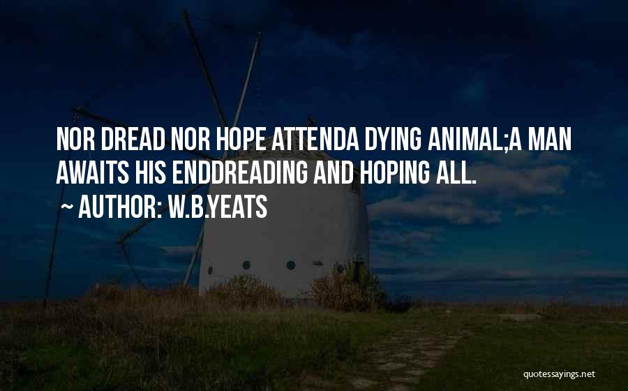 Animal Death Quotes By W.B.Yeats