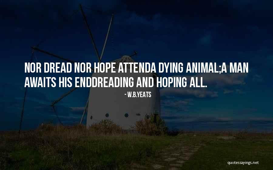 Animal Death Quotes By W.B.Yeats