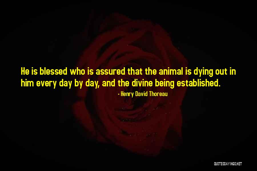 Animal Dying Quotes By Henry David Thoreau Animal Dying Quotes By Henry David Thoreau