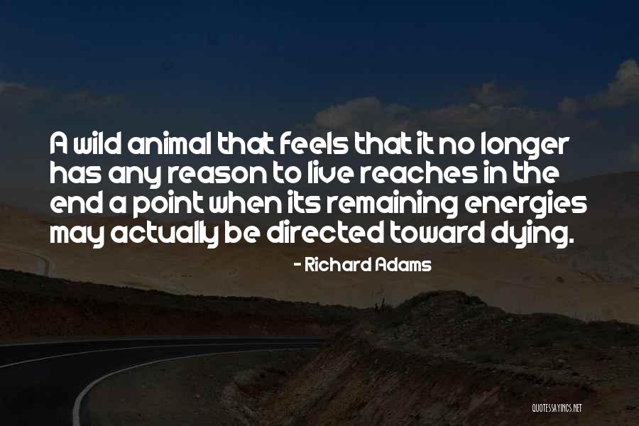 Animal Dying Quotes By Richard Adams Animal Dying Quotes By Richard Adams