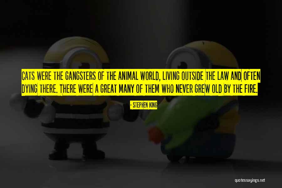 Animal Dying Quotes By Stephen King Animal Dying Quotes By Stephen King