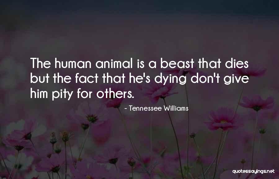 Animal Dying Quotes By Tennessee Williams Animal Dying Quotes By Tennessee Williams