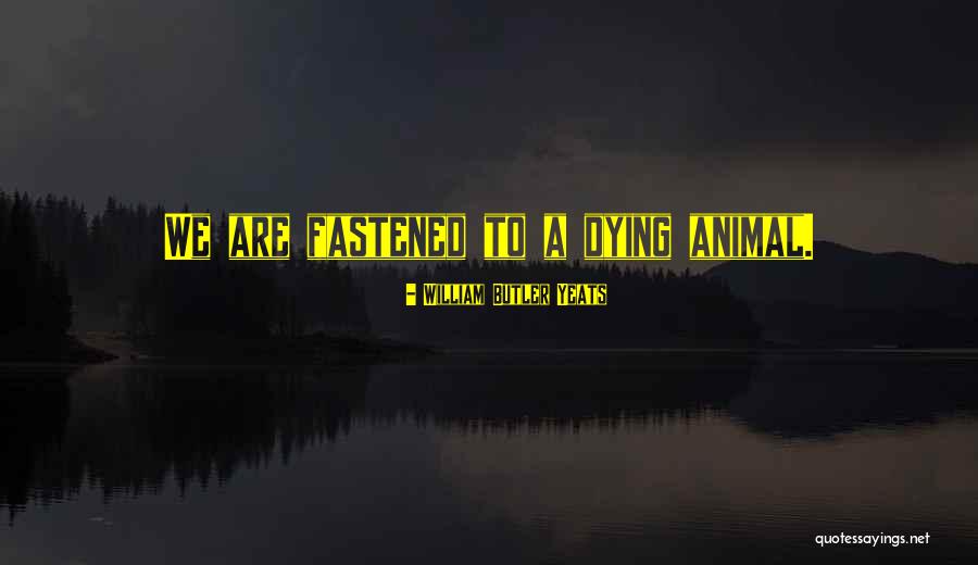 Animal Dying Quotes By William Butler Yeats Animal Dying Quotes By William Butler Yeats