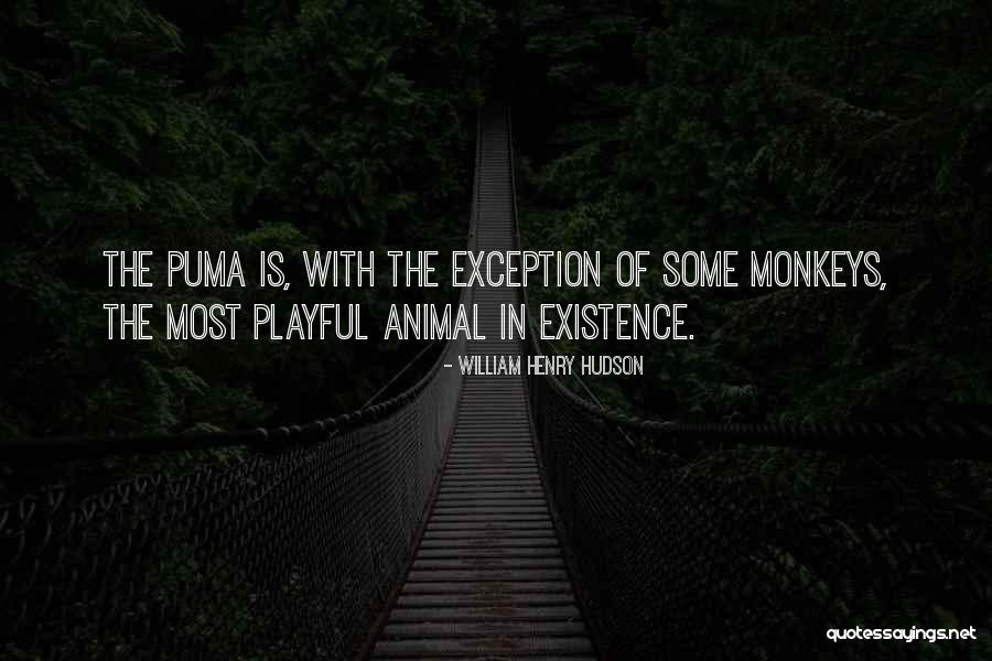 Animal Existence Quotes By William Henry Hudson Animal Existence Quotes By William Henry Hudson