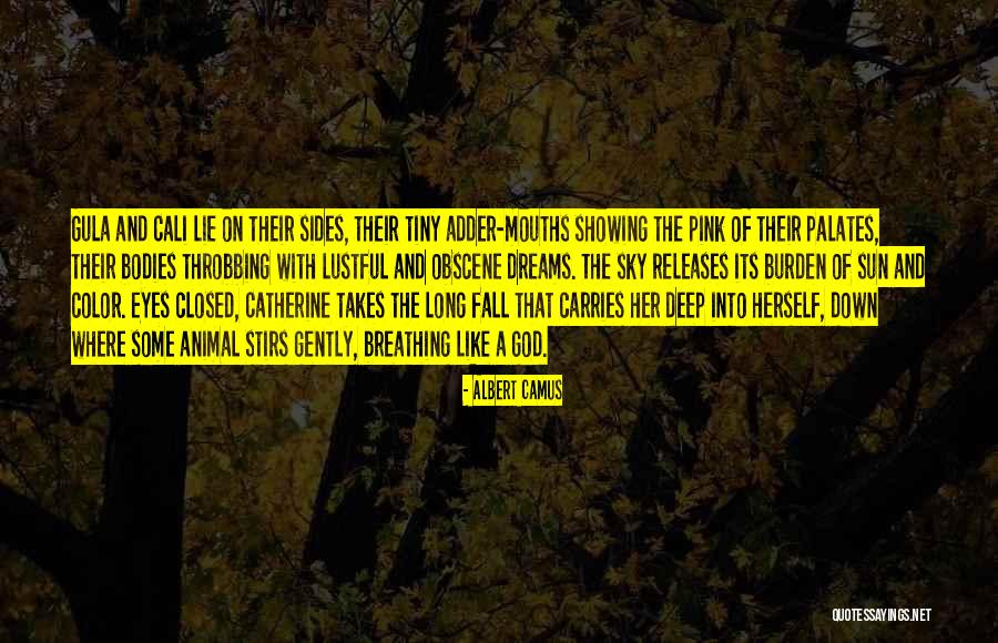 Animal Eyes Quotes By Albert Camus Animal Eyes Quotes By Albert Camus