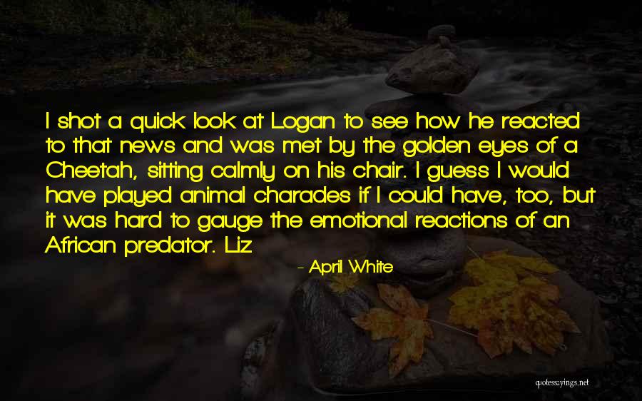Animal Eyes Quotes By April White Animal Eyes Quotes By April White