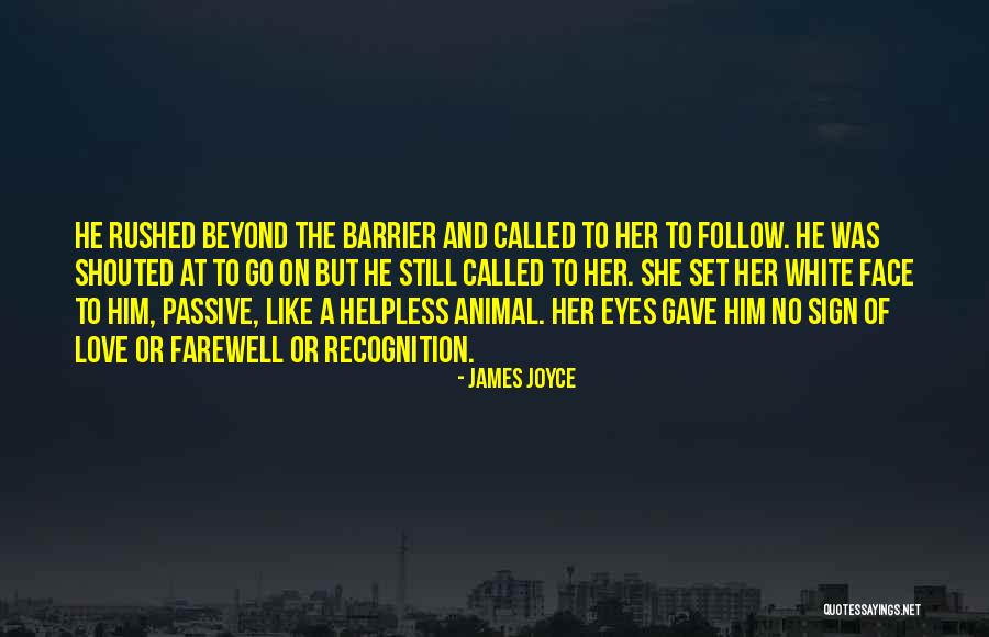 Animal Eyes Quotes By James Joyce Animal Eyes Quotes By James Joyce