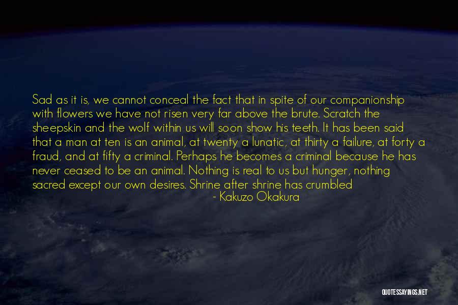 Animal Eyes Quotes By Kakuzo Okakura Animal Eyes Quotes By Kakuzo Okakura