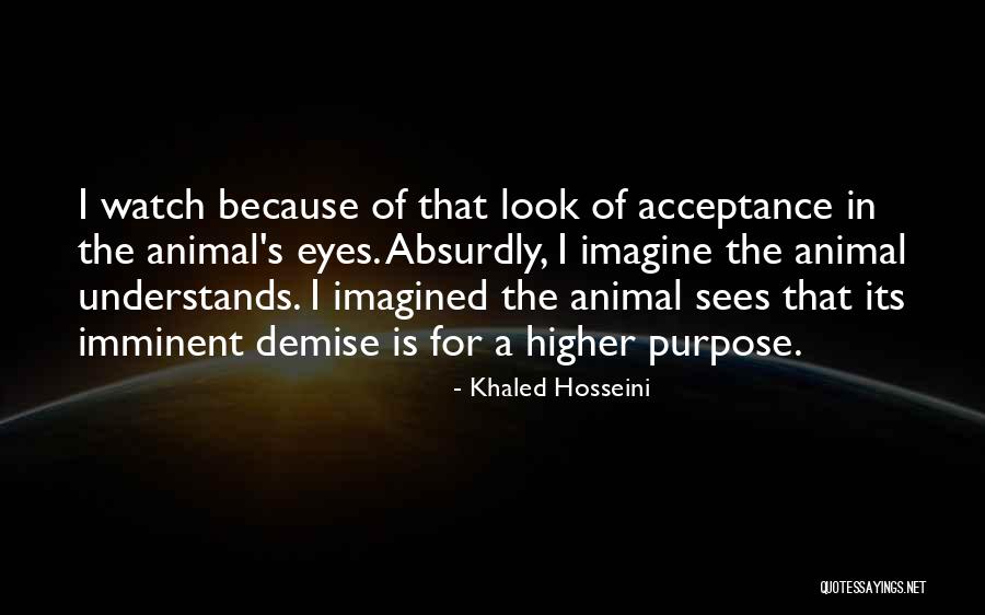 Animal Eyes Quotes By Khaled Hosseini Animal Eyes Quotes By Khaled Hosseini