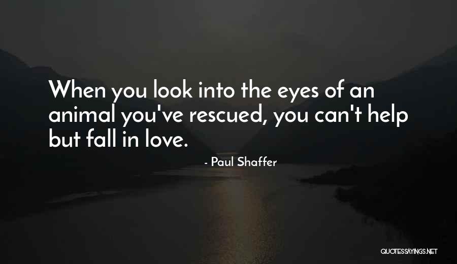 Animal Eyes Quotes By Paul Shaffer Animal Eyes Quotes By Paul Shaffer