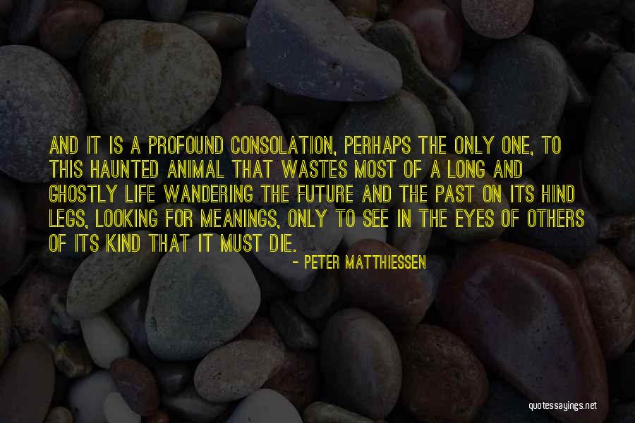 Animal Eyes Quotes By Peter Matthiessen Animal Eyes Quotes By Peter Matthiessen