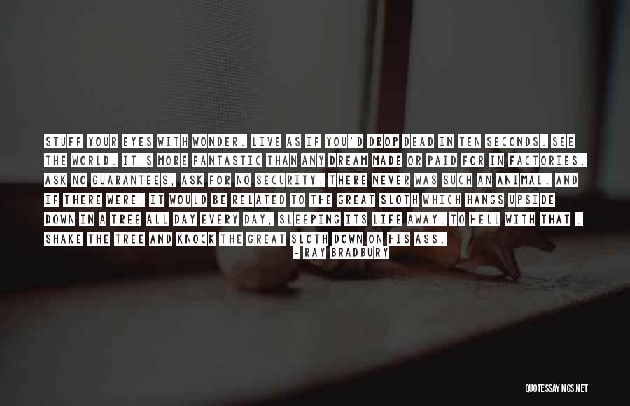 Animal Eyes Quotes By Ray Bradbury Animal Eyes Quotes By Ray Bradbury