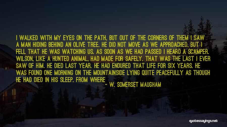 Animal Eyes Quotes By W. Somerset Maugham Animal Eyes Quotes By W. Somerset Maugham