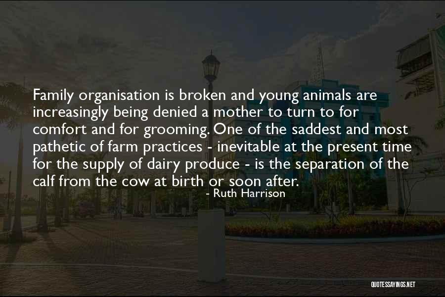 Animal Farm Quotes By Ruth Harrison